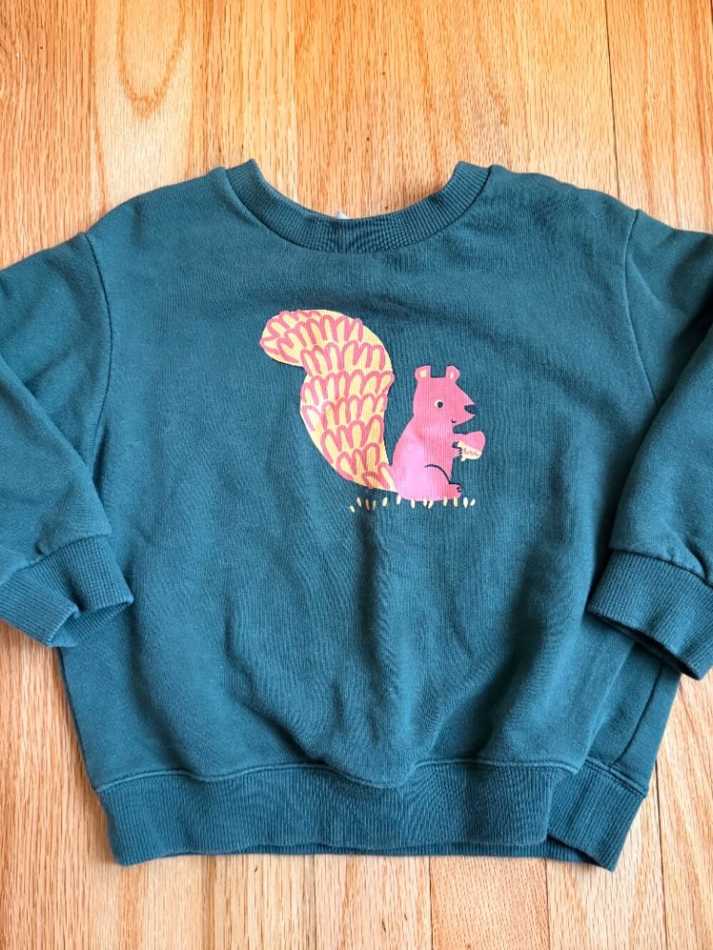 Cute fall squirrel sweater